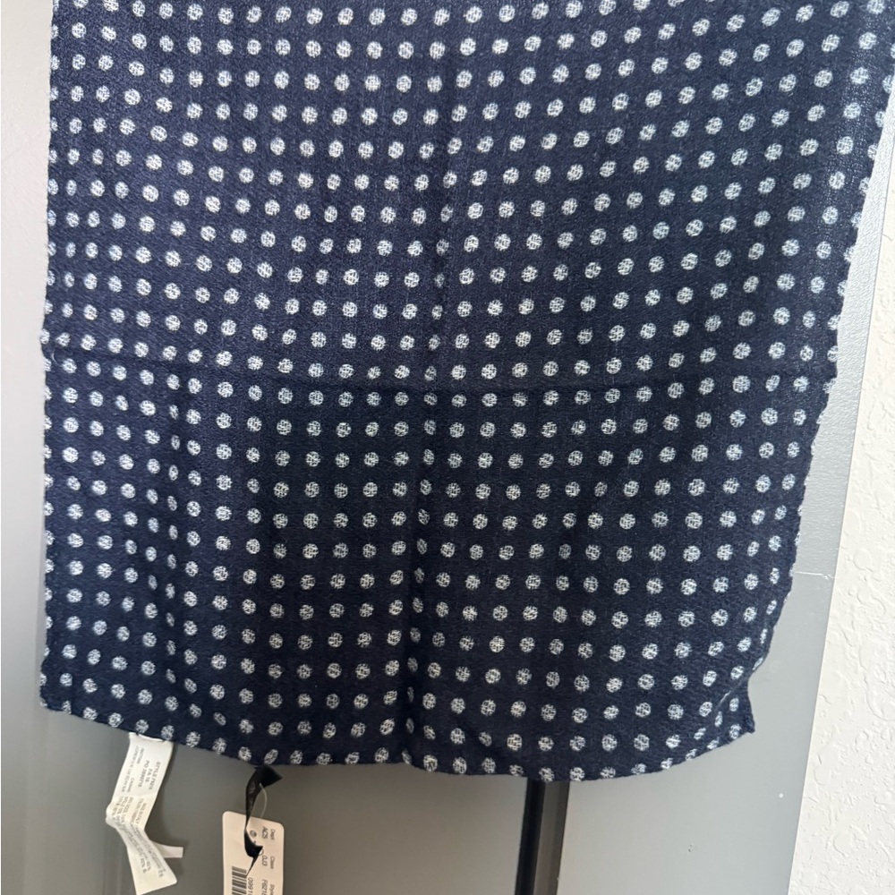 J. Crew Blue and White polka dot pocket square